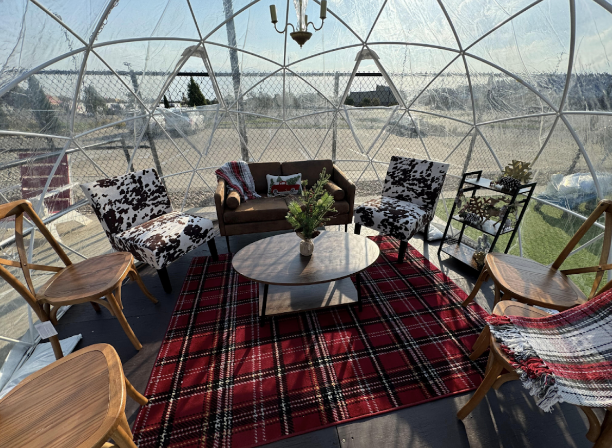 A cozy dome with clear walls features a sofa, cow-print chairs, wooden chairs, a plaid red rug, a round coffee table with a plant, and shelves, all arranged in a circle and lit by sunlight.